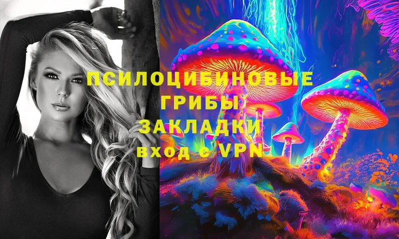 ссылка на мегу маркетплейс  закладки  Шуя  Галлюциногенные грибы Magic Shrooms 